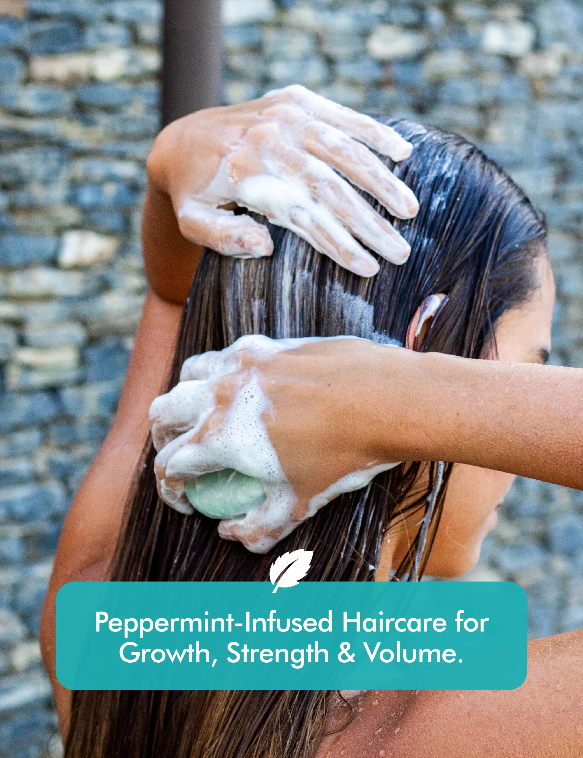 Shampoo & Conditioner Bar Set - Peppermint Essential Oils & Biotin - for Hair Growth - Tree Bottle